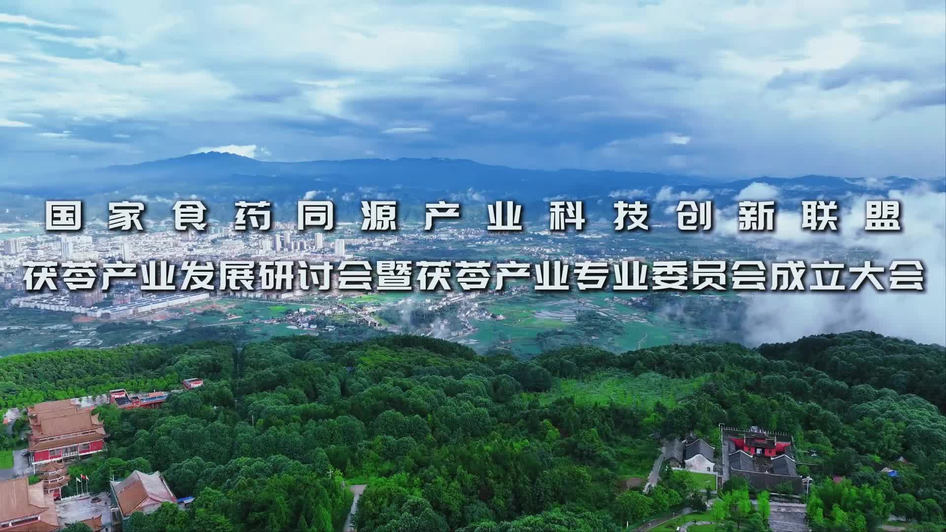 充滿期待，34秒“預”見國家食藥同源產(chǎn)業(yè)科技創(chuàng)新聯(lián)盟茯苓產(chǎn)業(yè)發(fā)展研討會暨茯苓產(chǎn)業(yè)專業(yè)委員會成立大會