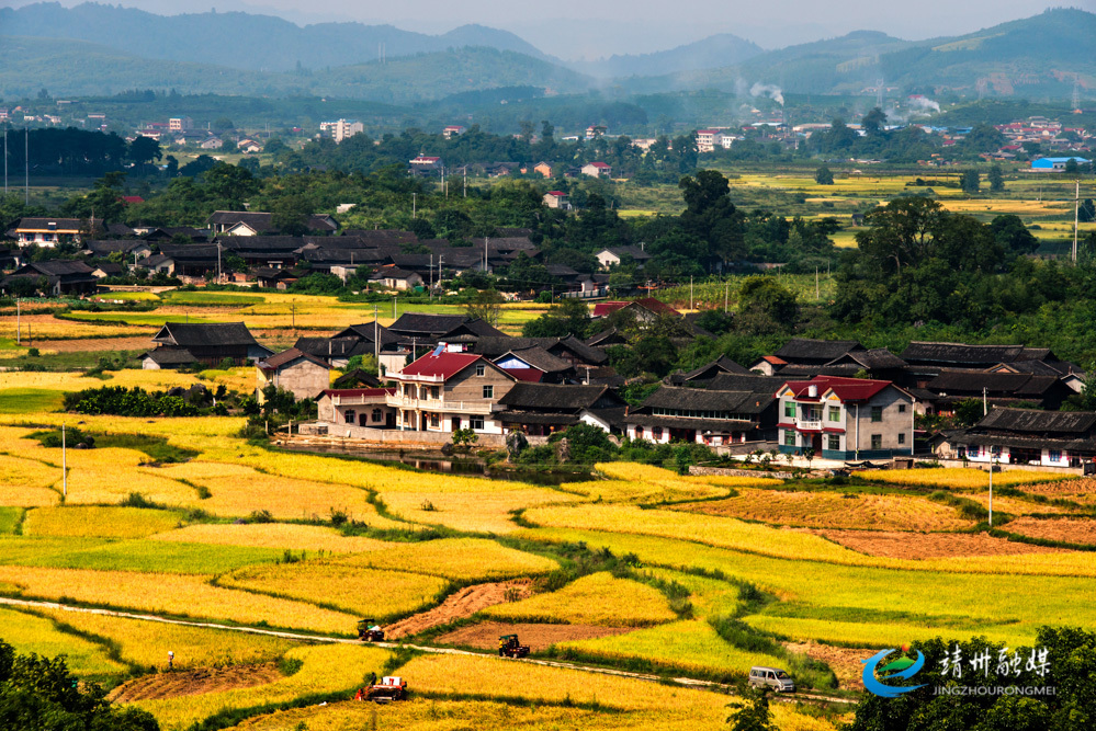 怀化靖州:强基础 现代农业立潮头