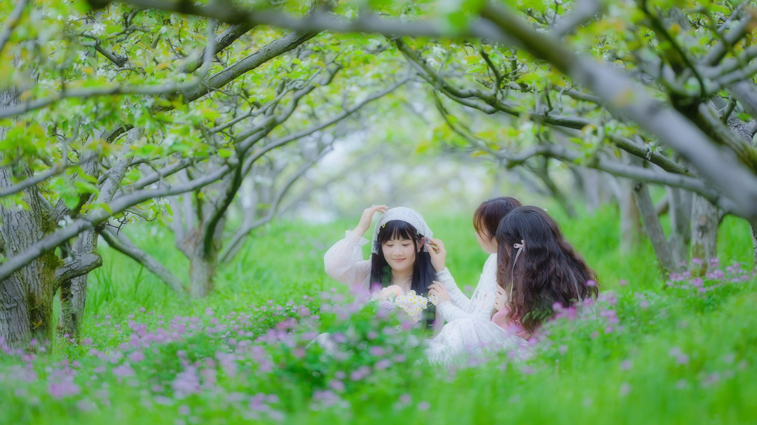 视频 | 靖州：春天美如画，赏花正当时