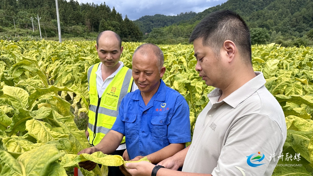 靖州：迅速落實二十條 助力災(zāi)后農(nóng)業(yè)生產(chǎn)