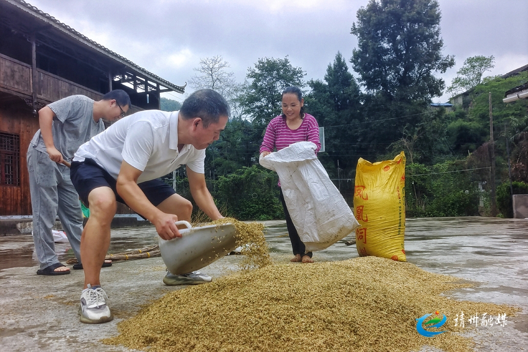 靖州：村民曬谷突遇大雨 駐村隊員幫忙搶收