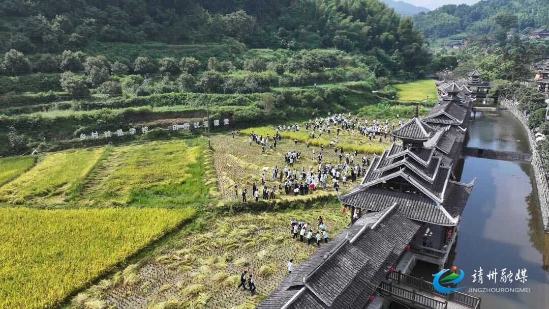 靖州一中開展“春華秋實(shí) 清廉耕讀”社會(huì)實(shí)踐活動(dòng)