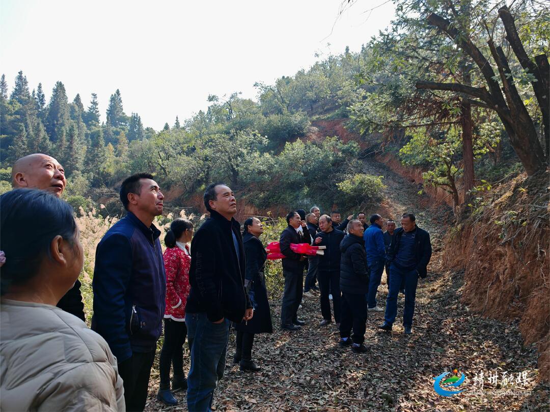 靖州举办农业科技示范基地现场观摩培训会