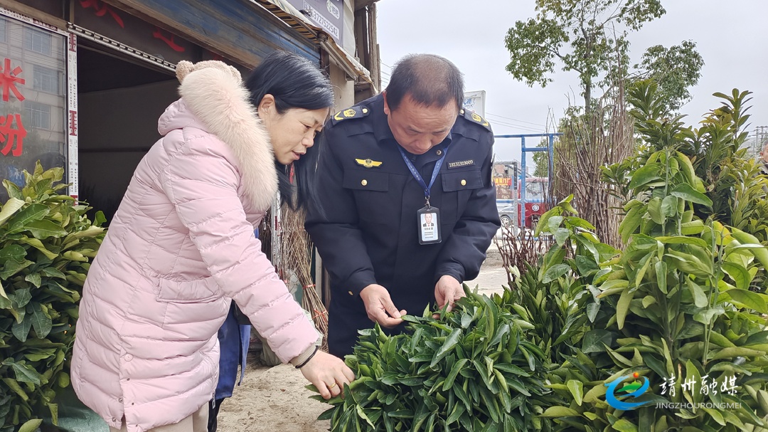 靖州强化市场监管 护航农业用种安全