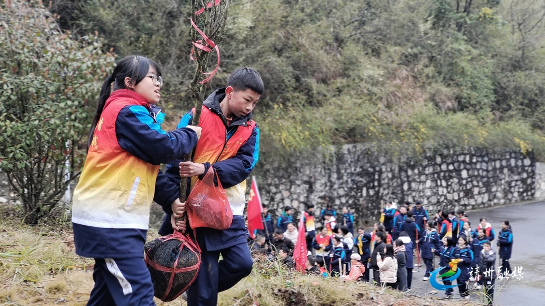 【新时代文明实践】靖州：植绿护廉 共绘青春担当新画卷