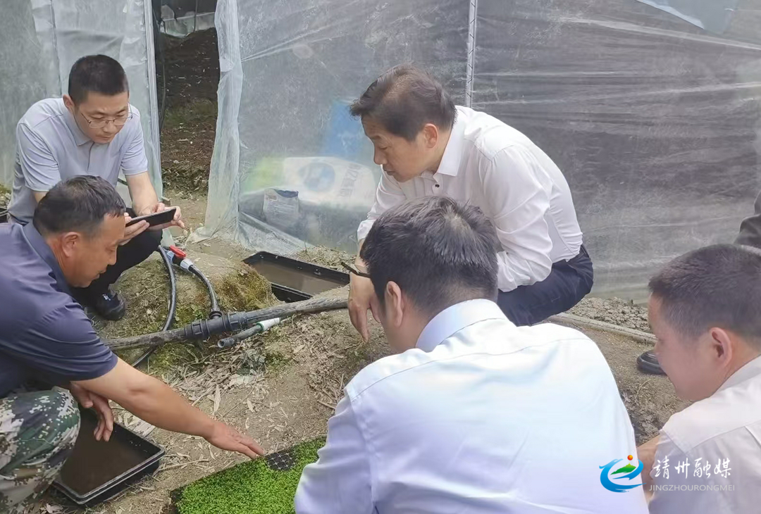 省林业局赴靖调研动植物保护及山核桃产业情况