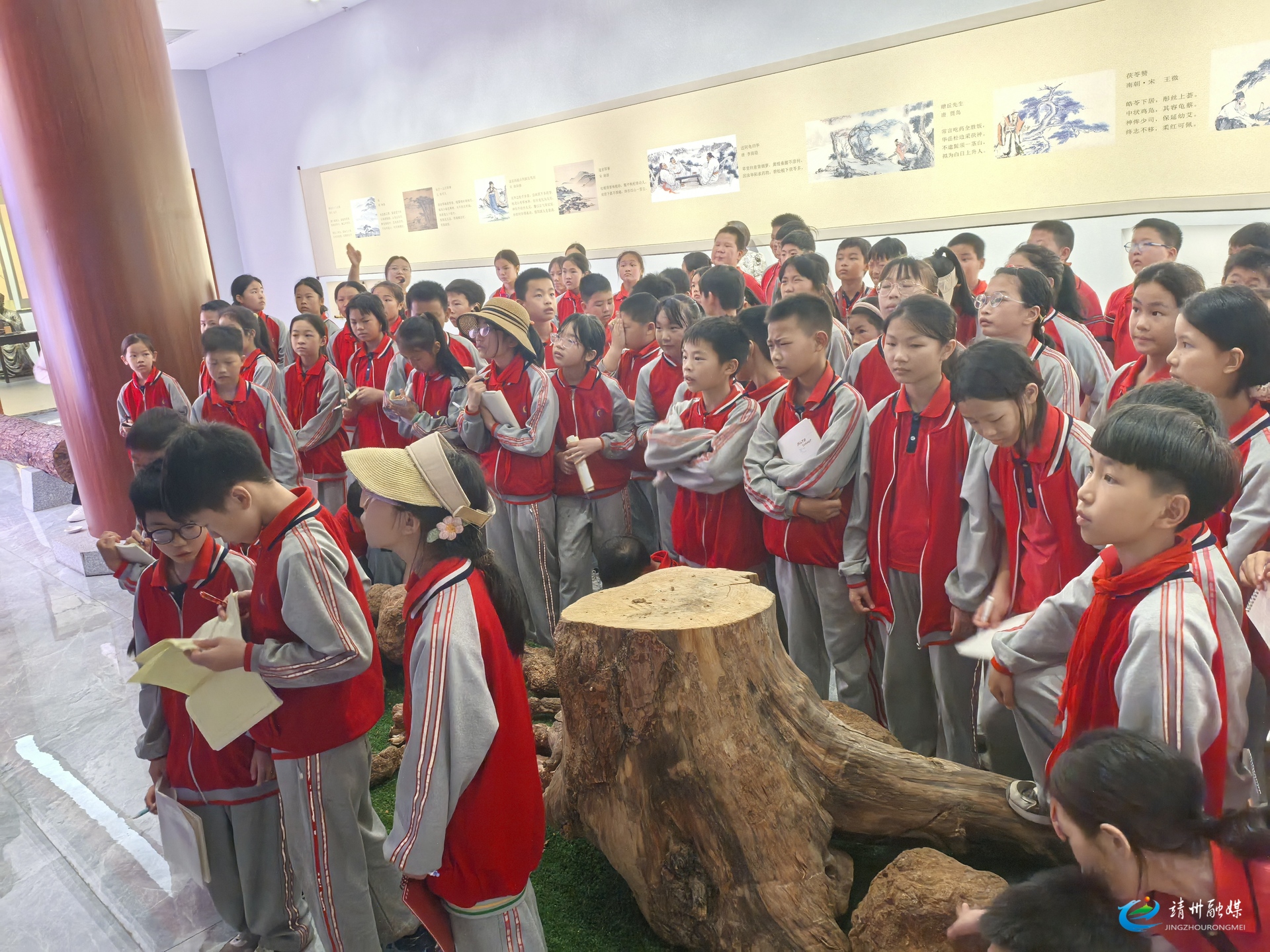 靖州江东小学：“小脚丫”丈量产业路 徒步探秘茯苓全产业链奥秘