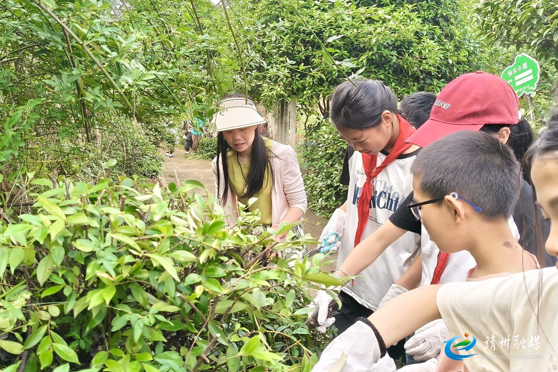靖州：两校开展劳动实践活动 助力学生成长