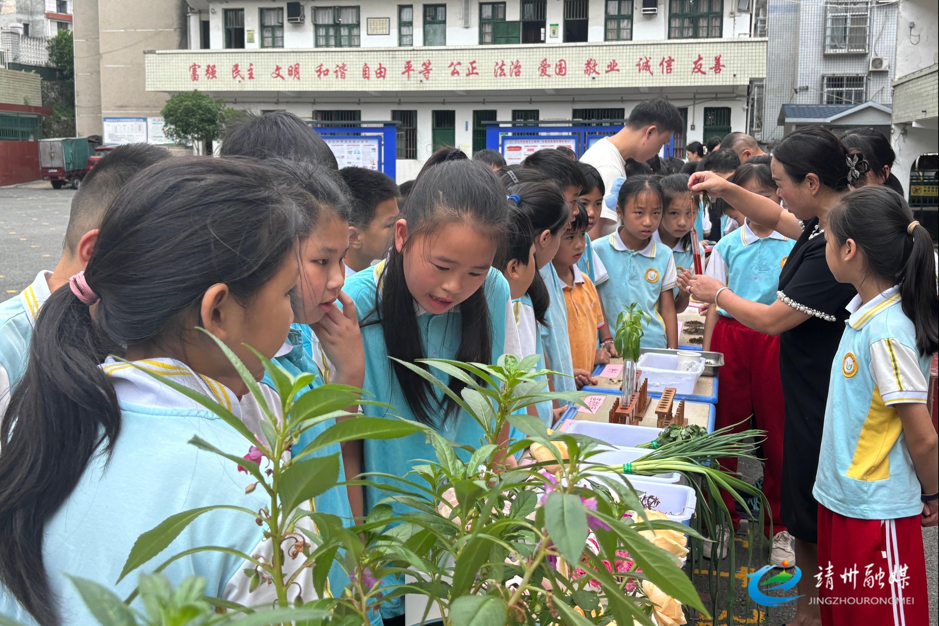 鹤山小学：开展科普实验展示 助力“双减”落地