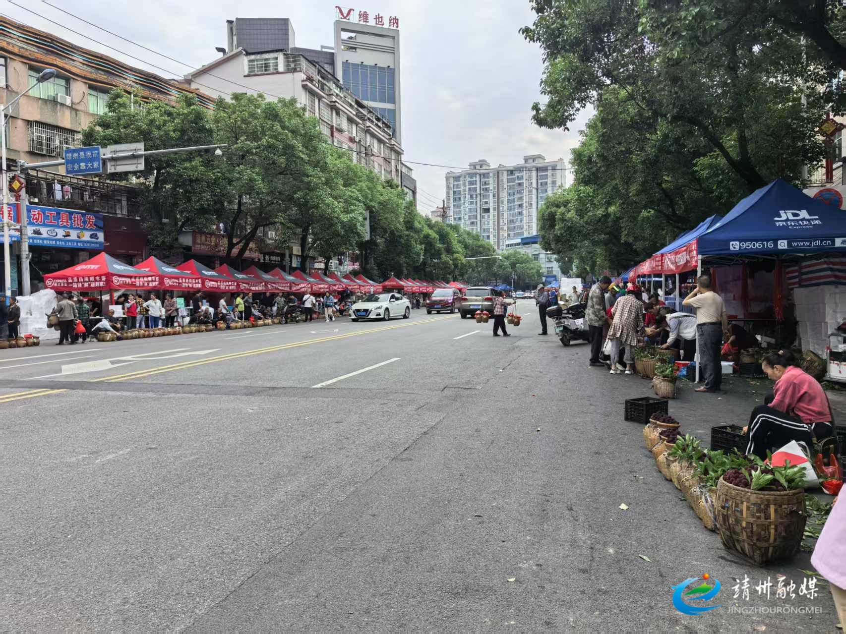 【第十三届靖州杨梅节】靖州“杨梅一条街”购销火爆 酸甜果香引客来