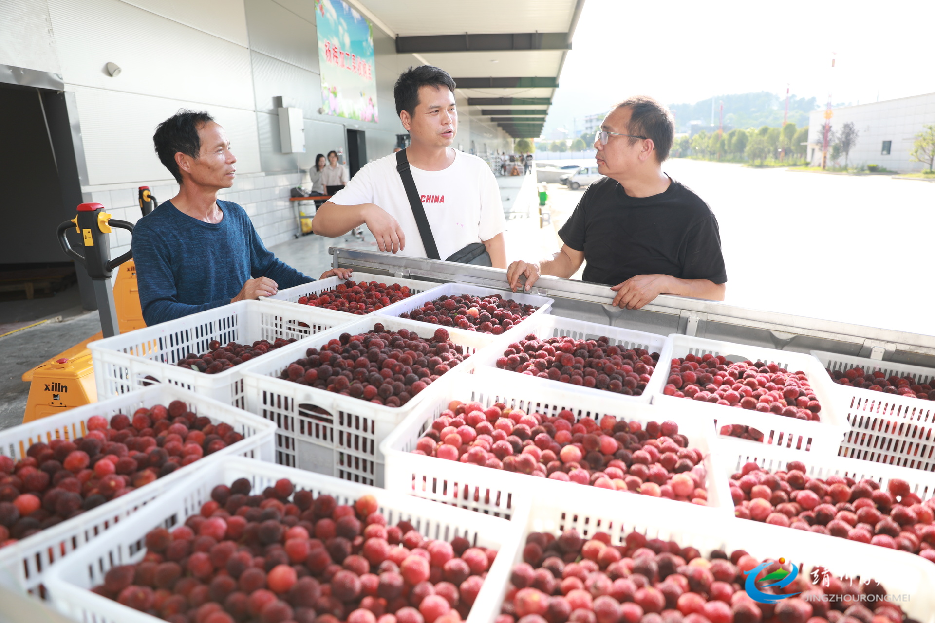 【第十三届靖州杨梅节】靖州智能冷链仓储物流中心杨梅冻库投用 为杨梅产业撑起 