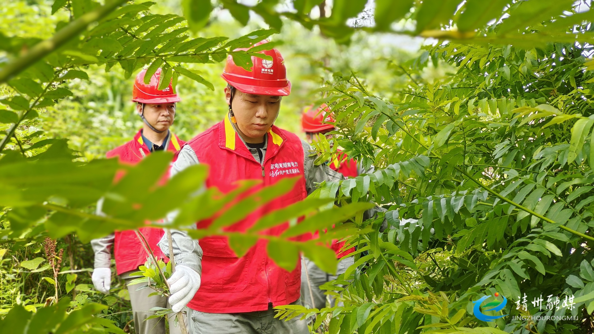 【安全守底行動】國網(wǎng)靖州供電公司：汛期巡查保電 筑牢用電“安全堤”