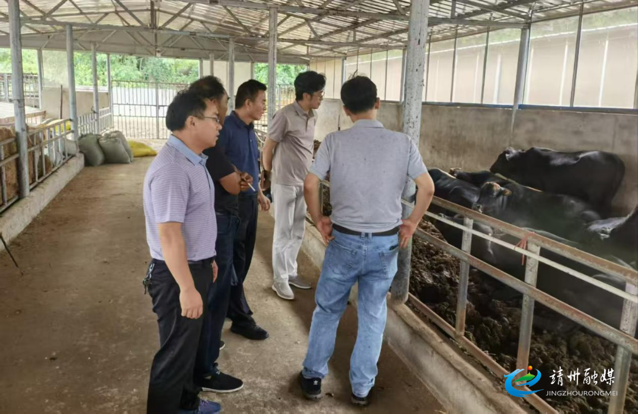 省畜牧兽医研究所专家抵靖调研肉牛养殖 助力产业提质增效