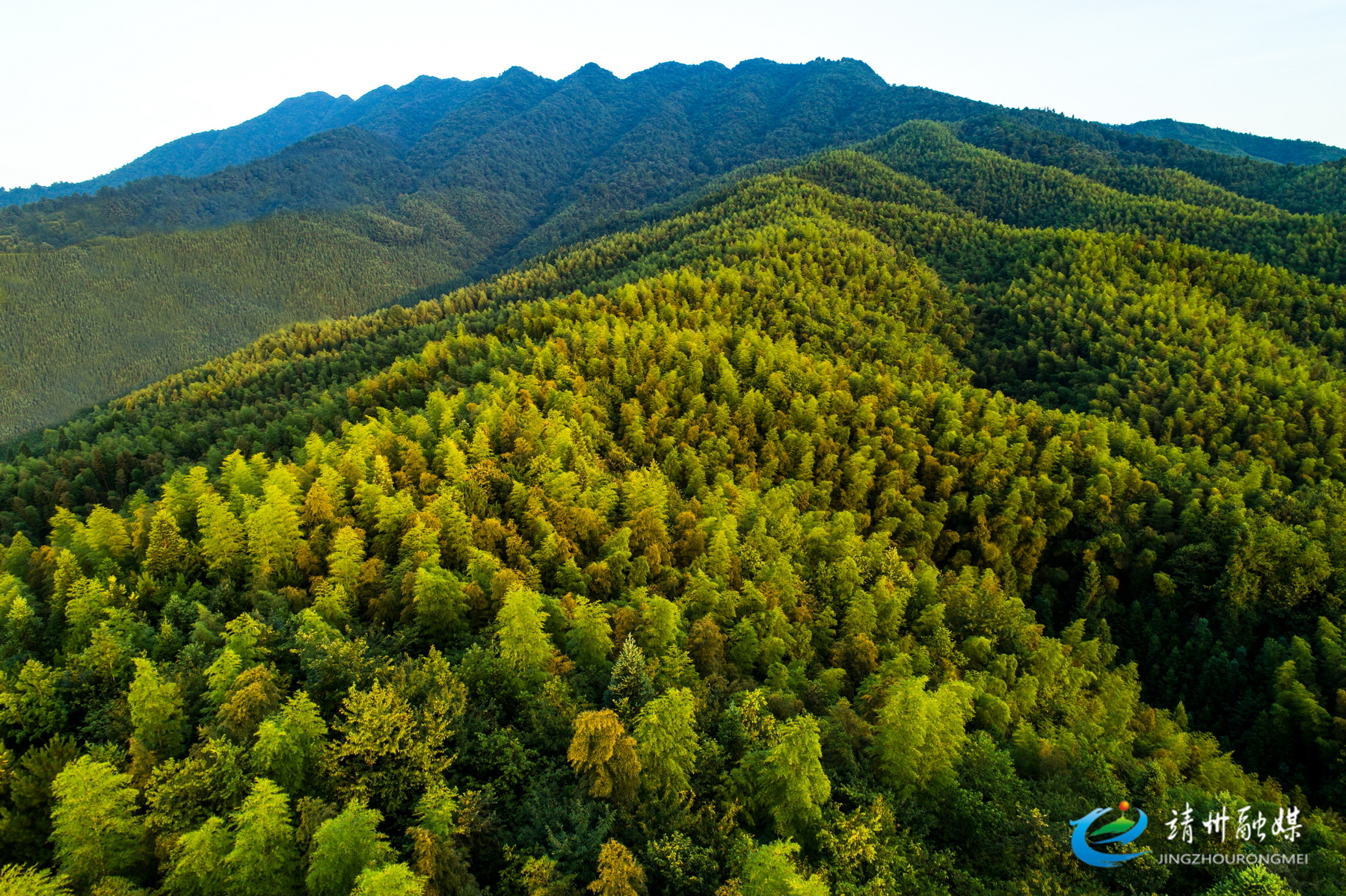 全國(guó)首部竹產(chǎn)業(yè)單行條例落地 法治護(hù)航靖州百億竹產(chǎn)業(yè)集群目標(biāo)