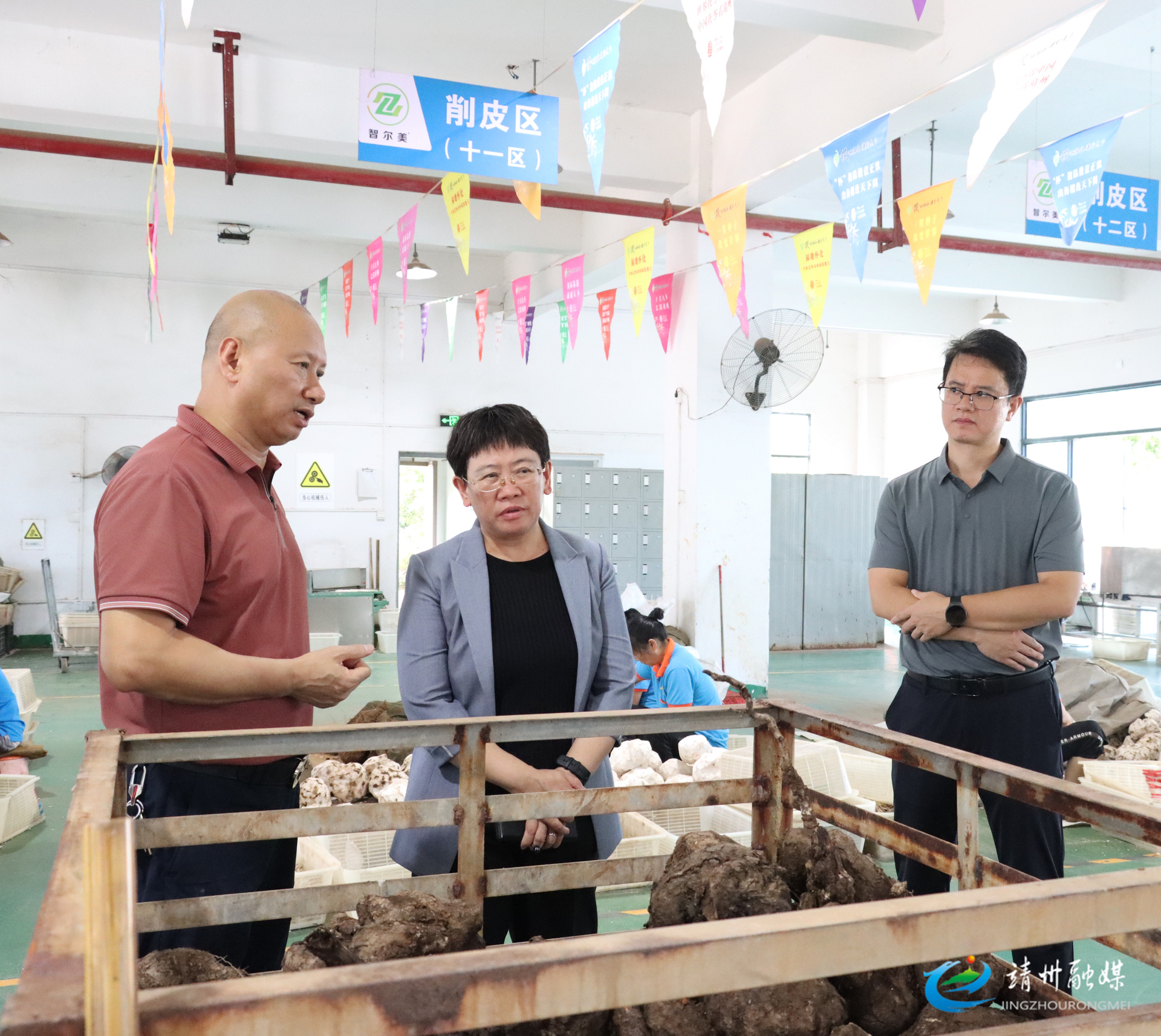 黄忆钢赴茯苓企业开展“走找想促”走访调研并检查安全生产工作