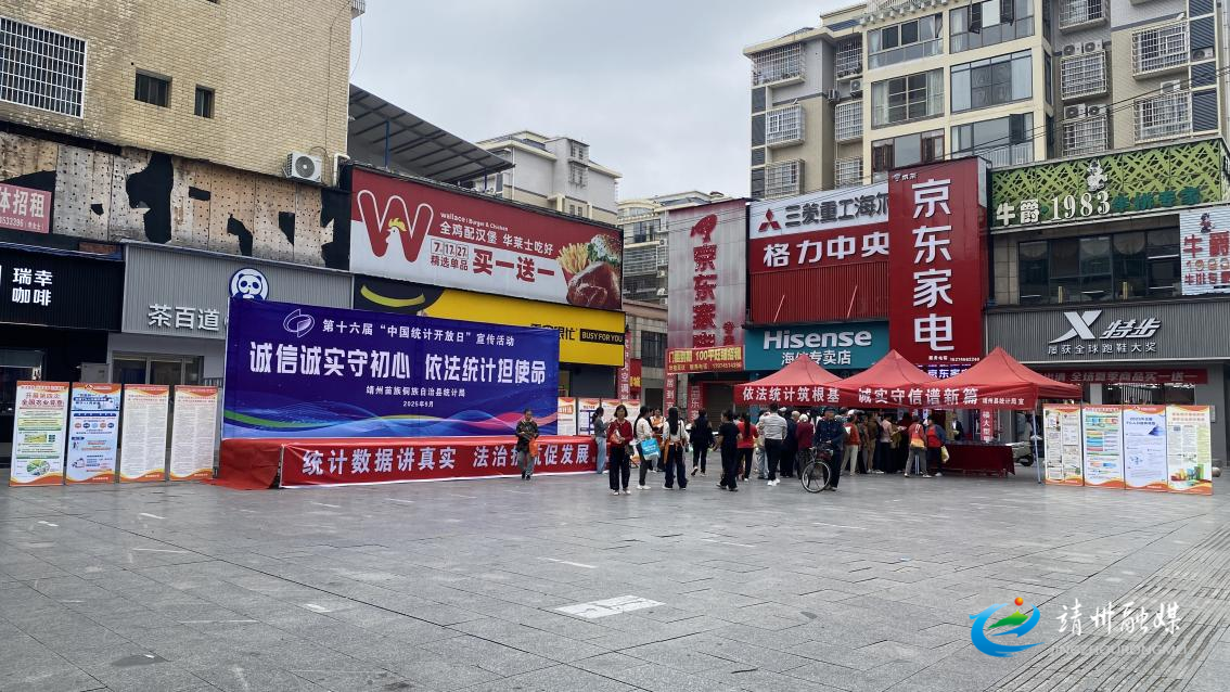 靖州：举行第十六届“中国统计开放日”集中宣传活动