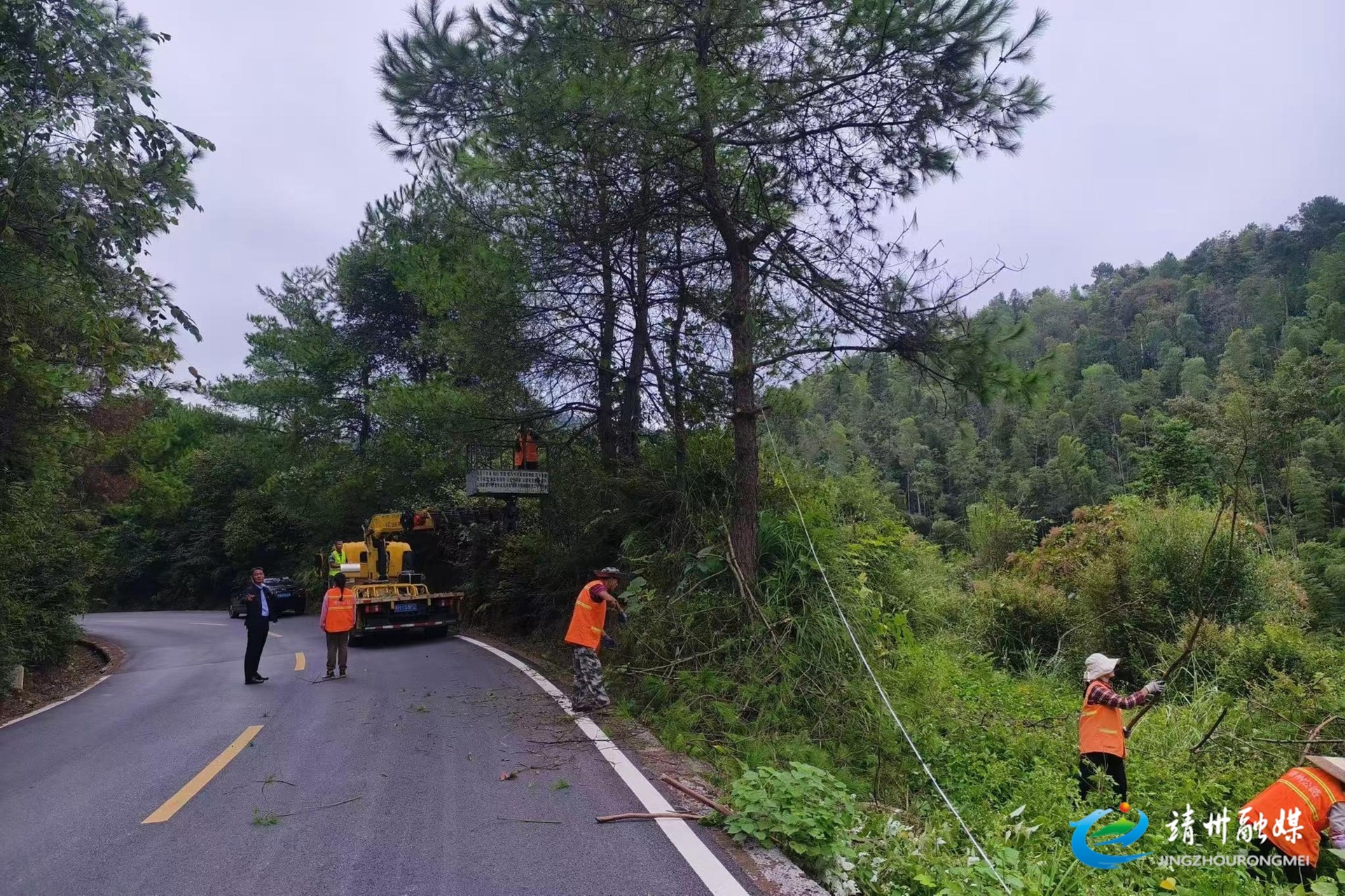 【安全守底行动】靖州公路建设养护中心：修枝除患 守护公路平安