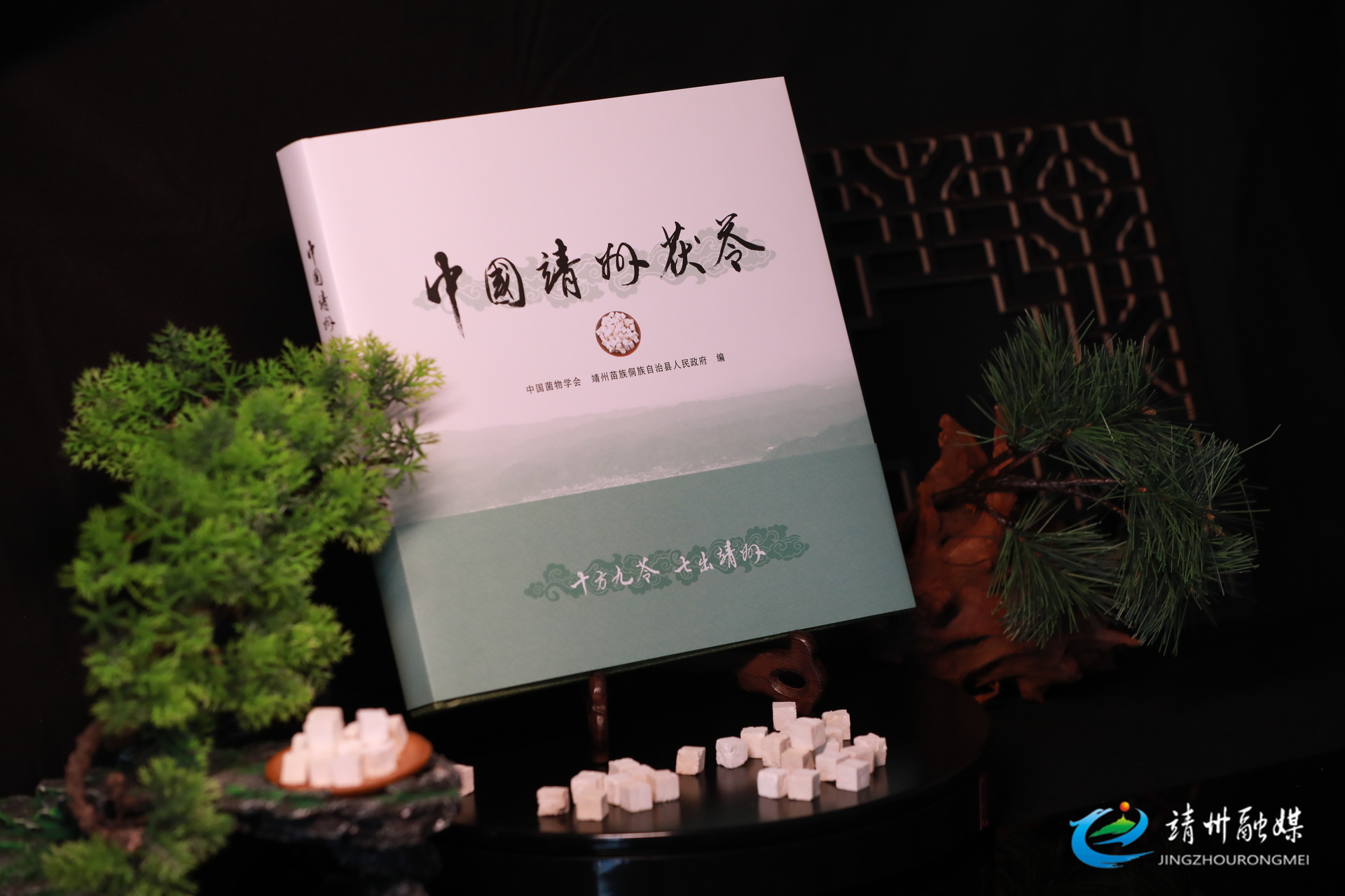 【“茯”聚靖州 标准引“苓” ——2025第四届全国茯苓大会暨中医药ISO国际标准应用大会】《中国靖州茯苓》正式出版发行