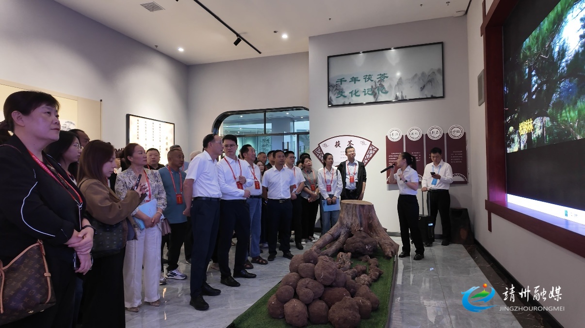 【“茯”聚靖州 标准引“苓”——2025第四届全国茯苓大会暨中医药ISO国际标准应用大会】2025第四届全国茯苓大会暨中医药ISO国际标准应用大会参会嘉宾探访靖州茯苓产业