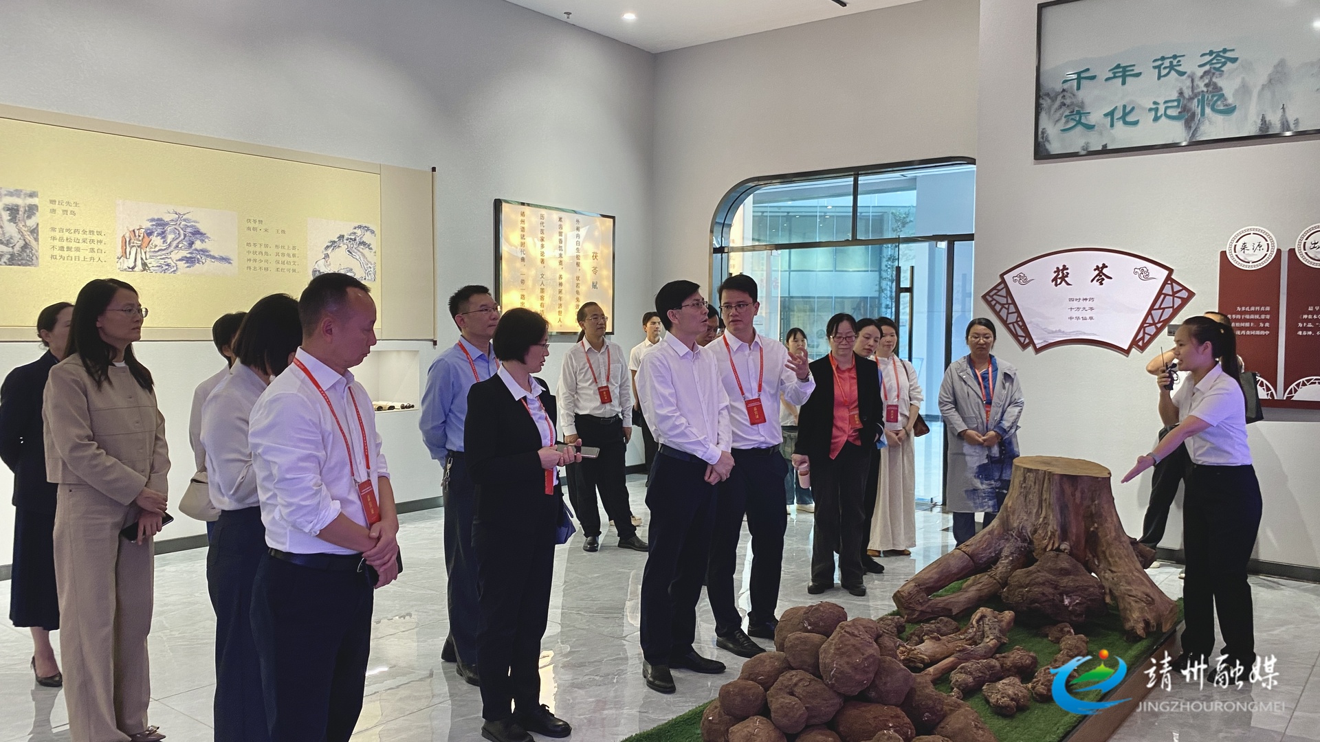 【“茯”聚靖州 标准引“苓” ——2025第四届全国茯苓大会暨中医药ISO国际标准应用大会】“院士专家怀化行走进靖州”调研考察活动启动 助力茯苓产业发展