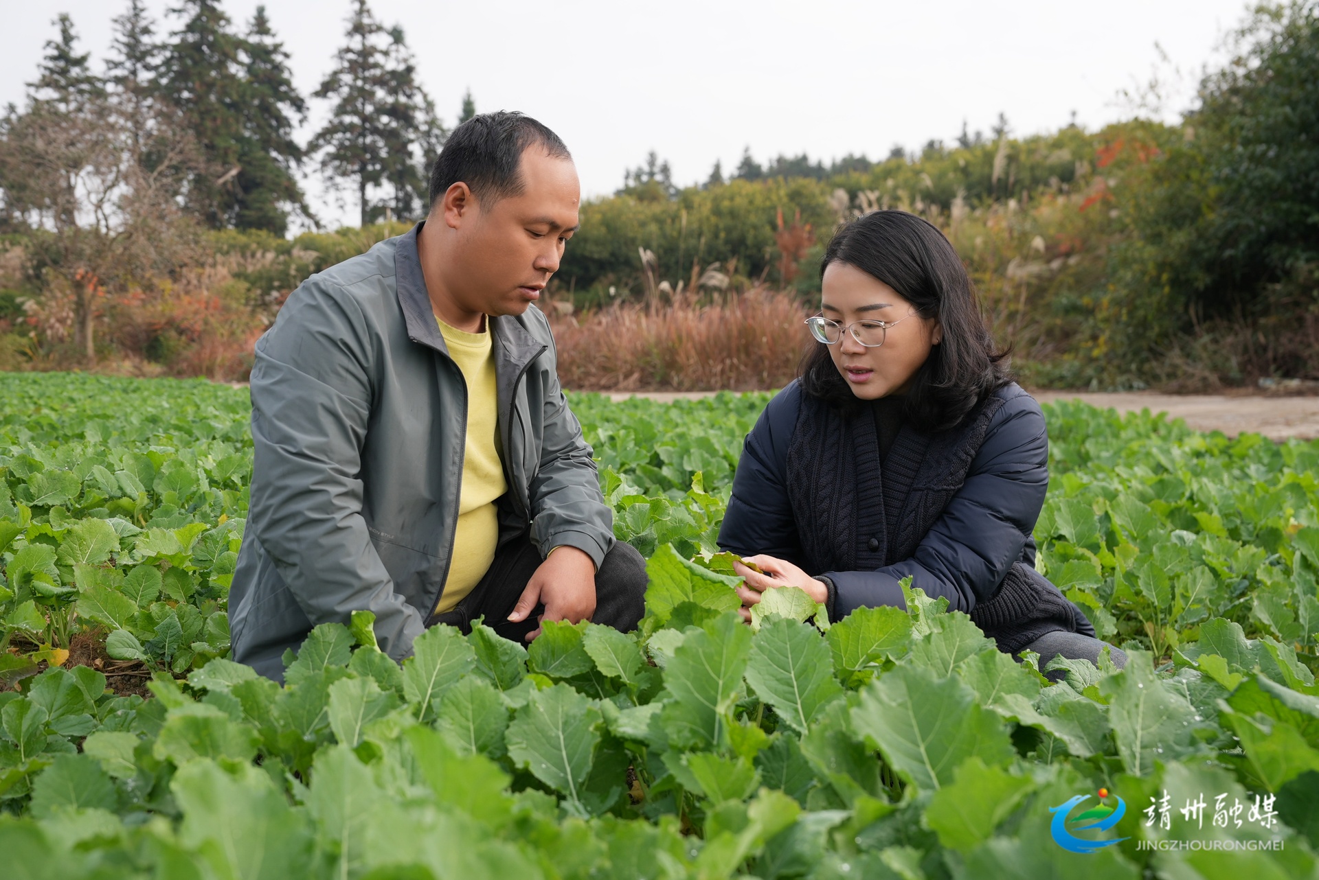 【委员风采】胡晓金：科技兴农担使命 履职为民践初心