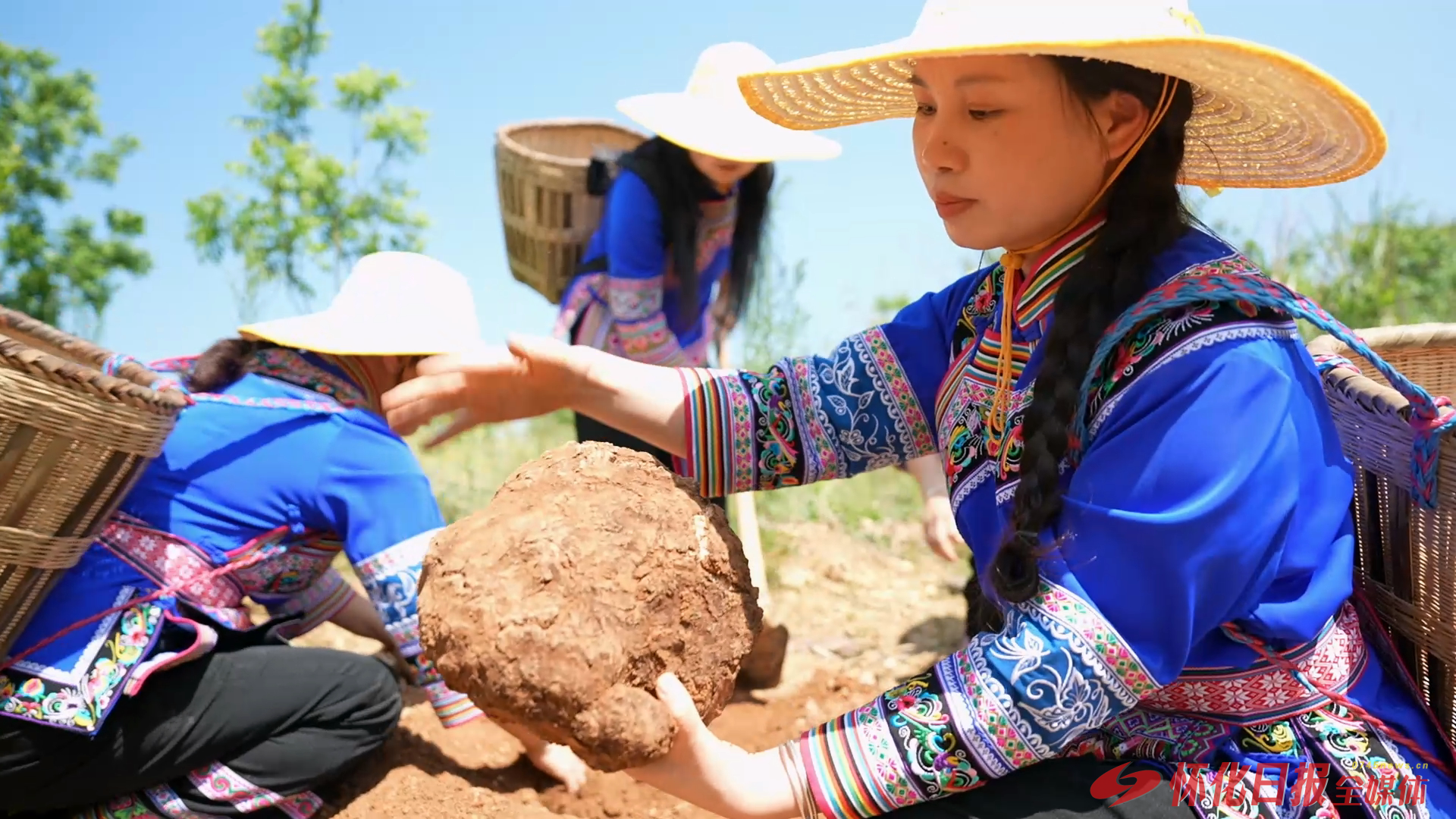 靖州“十四五”答卷②｜靖州中医药大健康产业破百亿