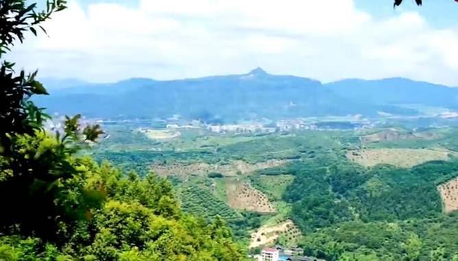 靖州这五年④｜绿水青山这样变身“金山银山”