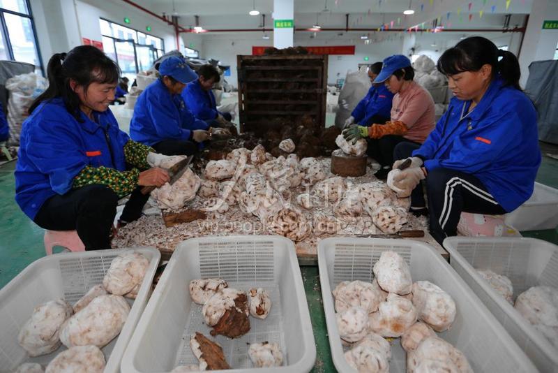 靖州这五年⑤｜五年民生答卷，靖州这样书写