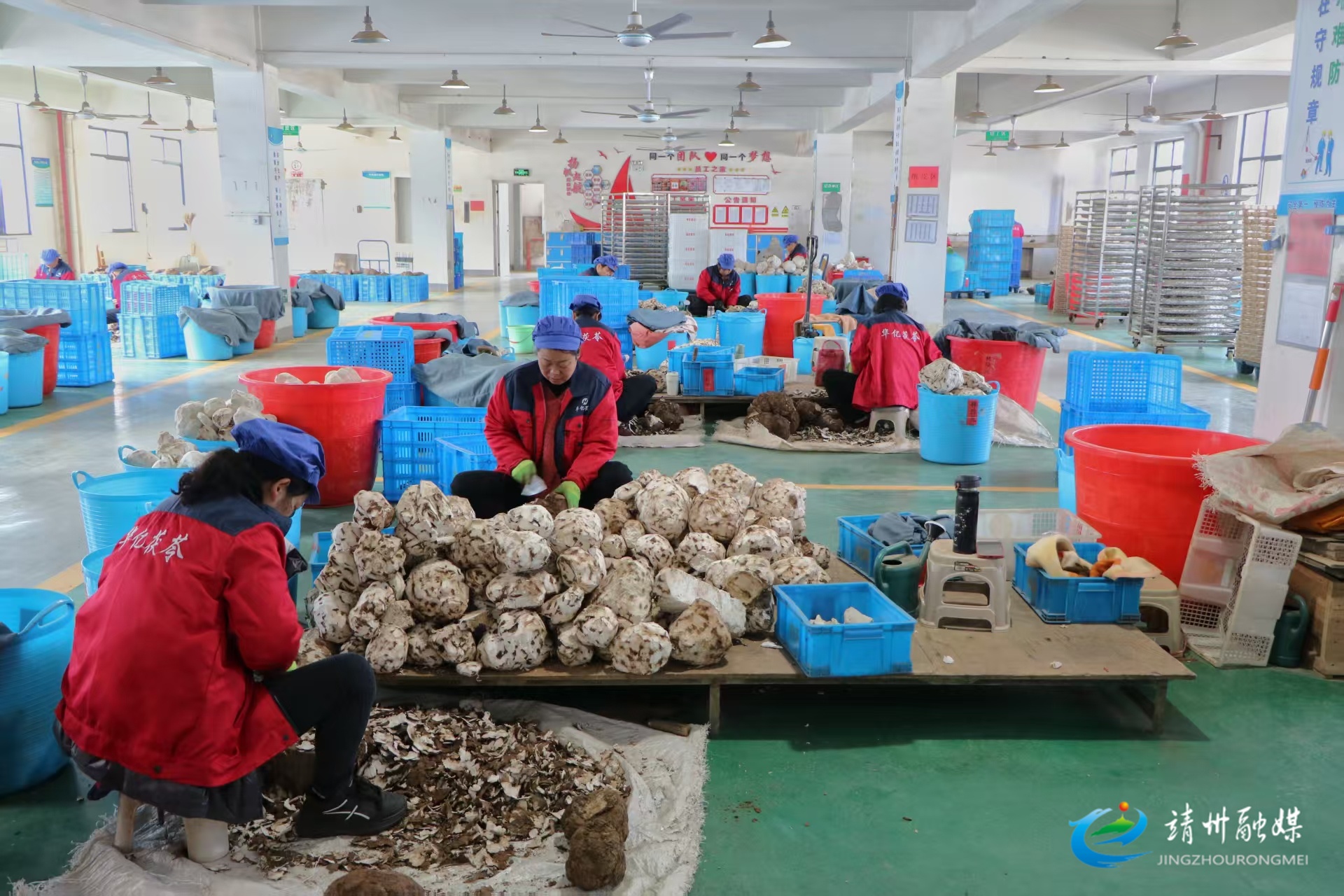 靖州：企业齐发力 抢抓新年“开门红”