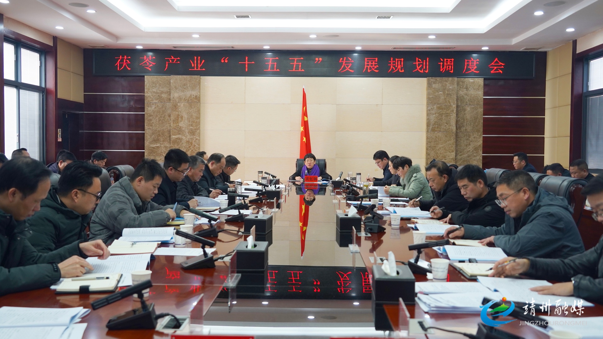 黄忆钢主持召开茯苓产业“十五五”发展规划调度会