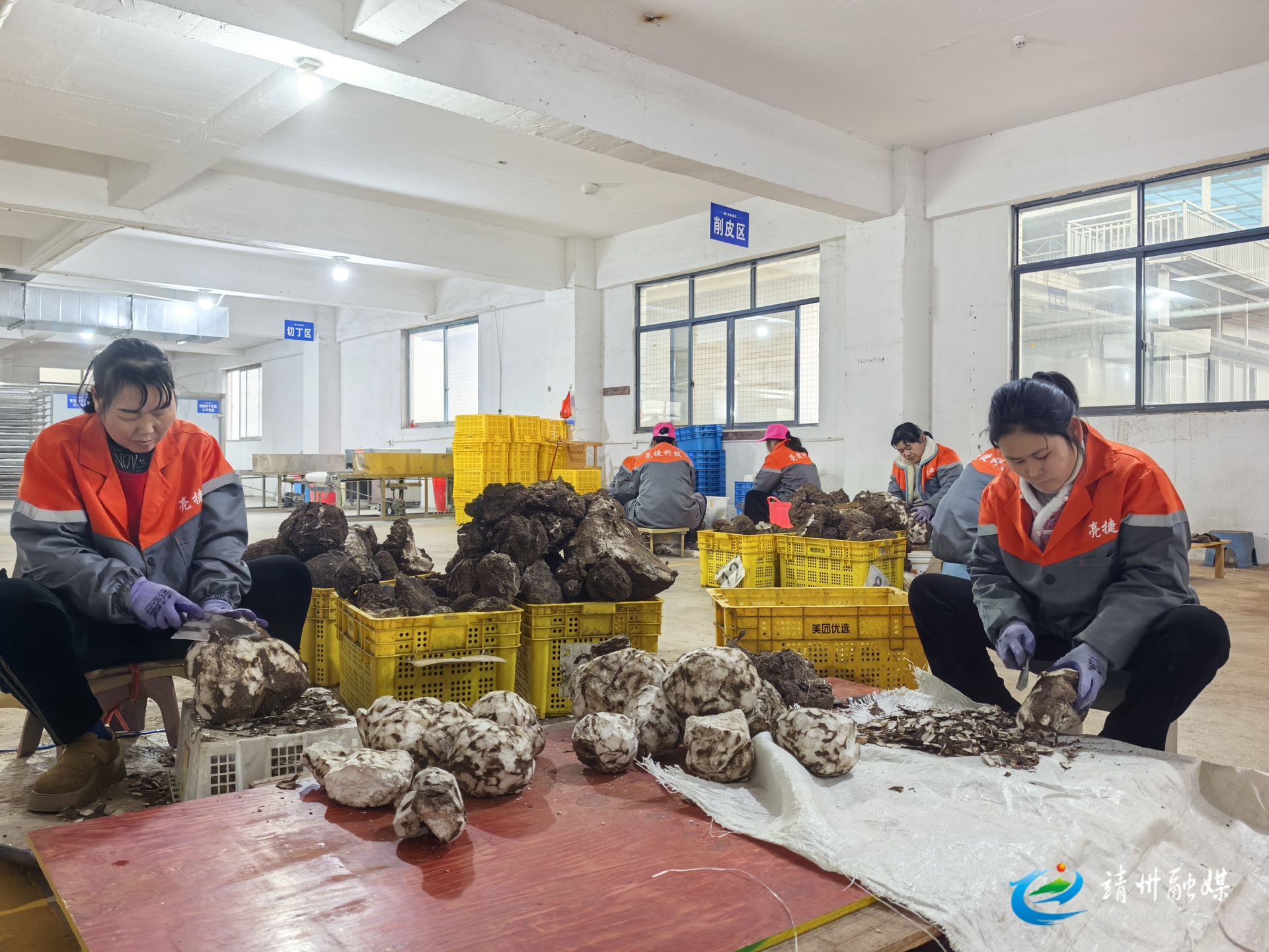 9家企业上榜！靖州创新型中小企业梯队再扩容