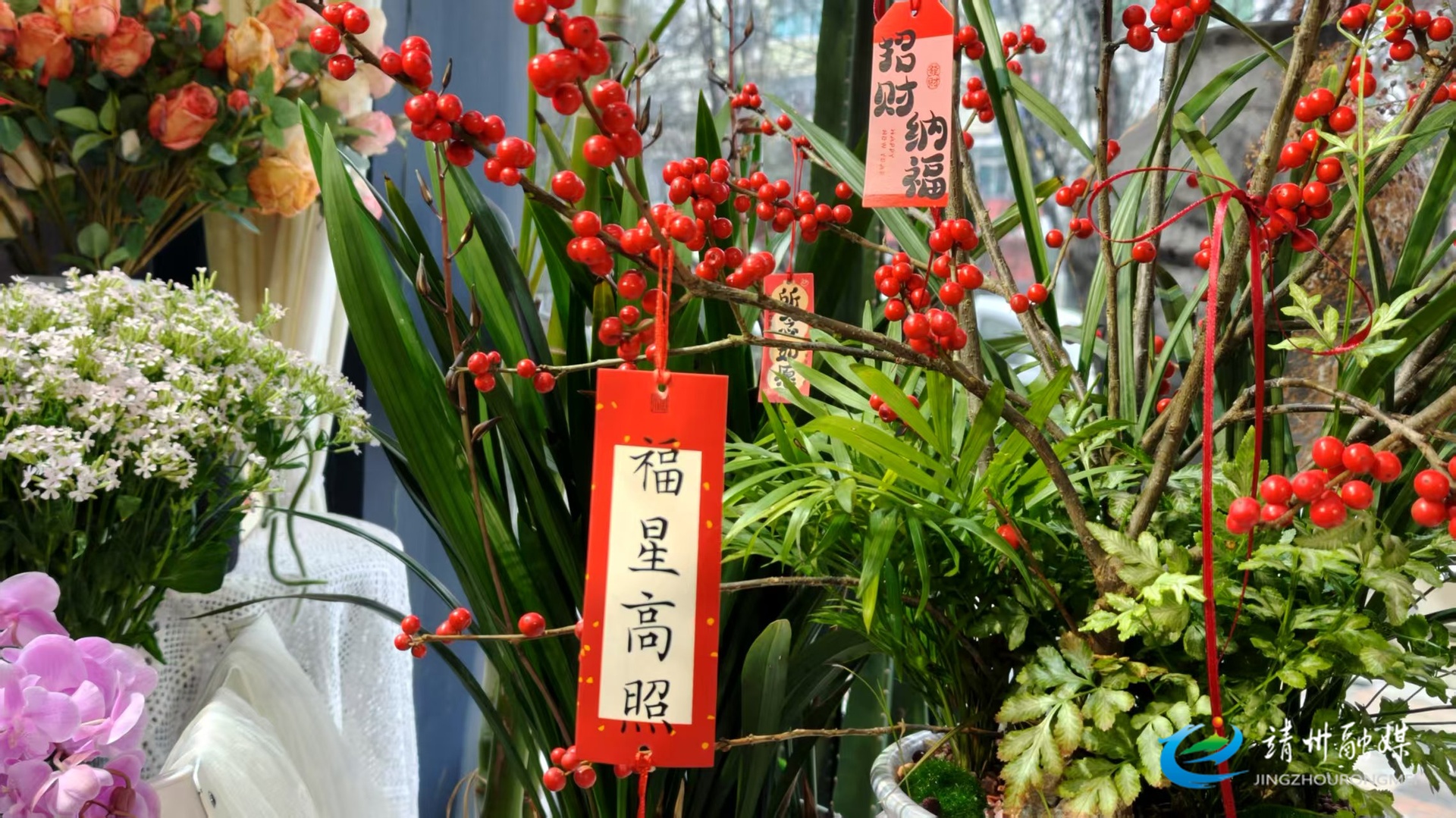 【新春走基层】花香伴新春 芬芳庆新年 靖州花卉市场迎来春节购销高潮