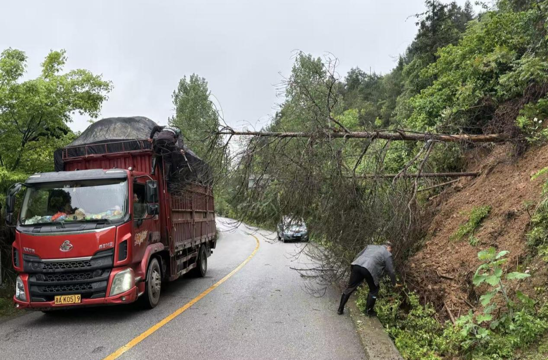 靖州：强降雨致道路受阻 干群同心抢险保畅通