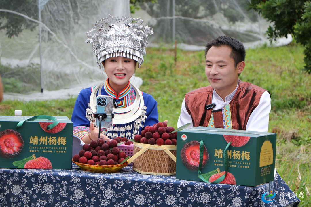 【第十四届靖州杨梅节】省级媒体走进靖州杨梅基地 云端溯源 “江南第一梅”