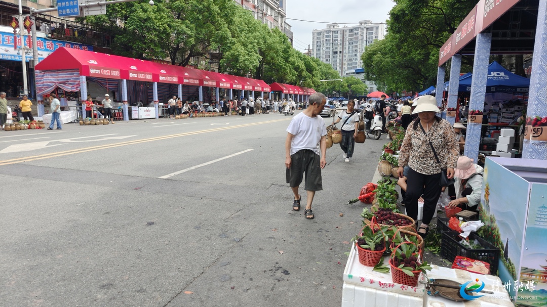 【第十四届靖州杨梅节】梅香满街头 2026年靖州杨梅交易市场购销忙