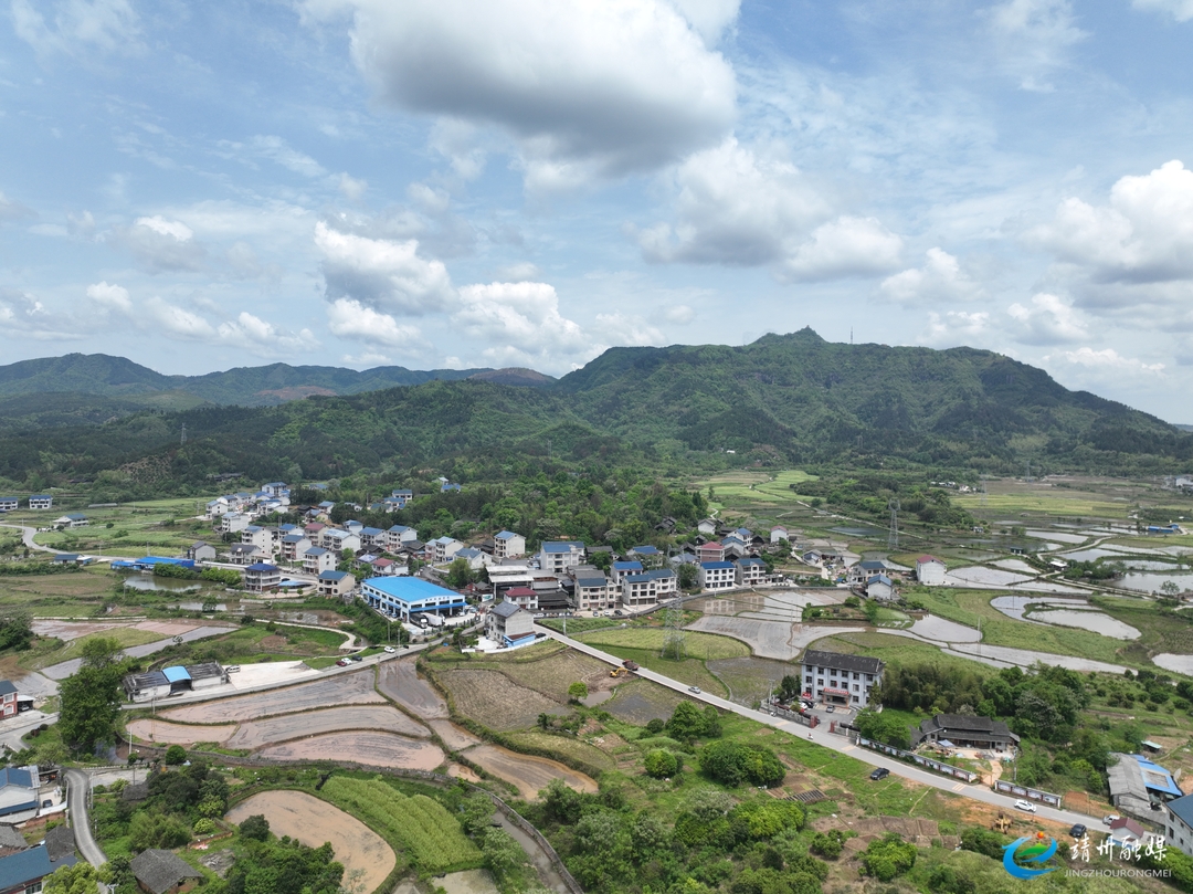 靖州三和村：引才归巢兴百业 实干治村绘新颜