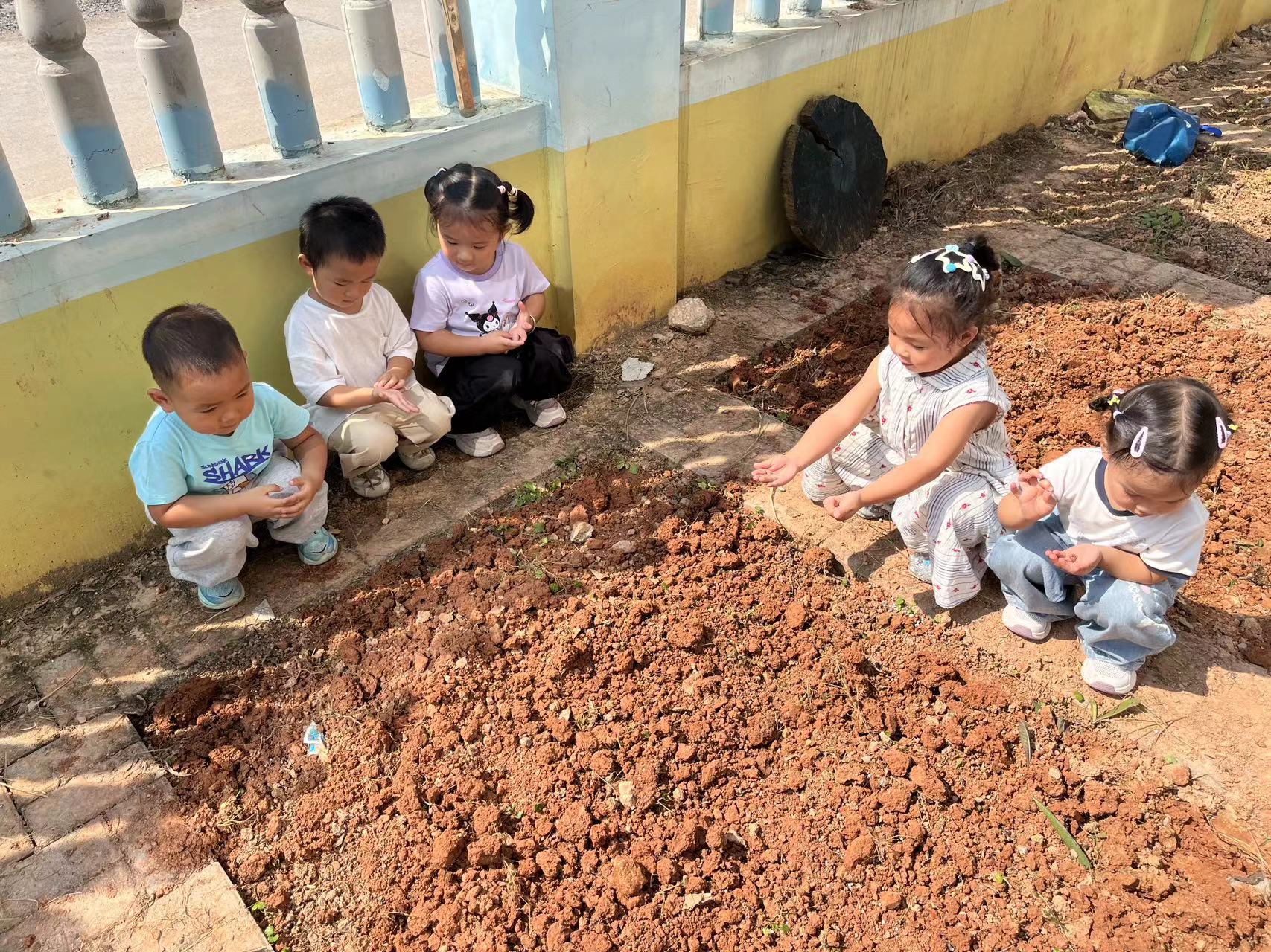 靖州二幼：开展种植实践活动
