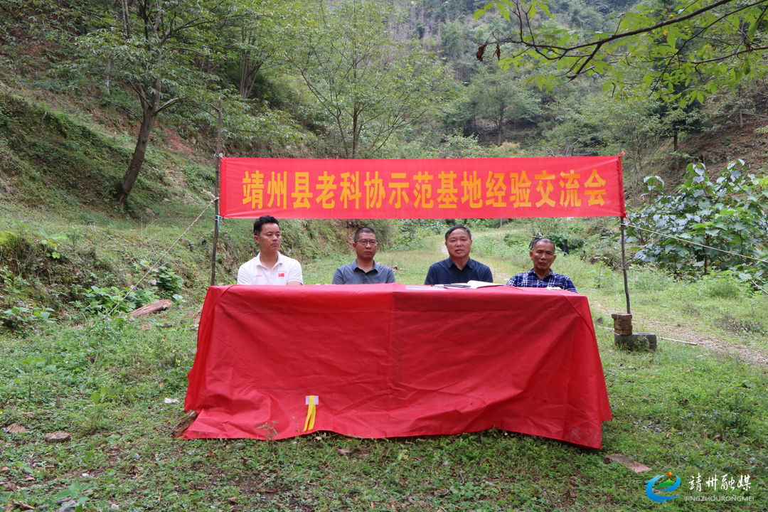 靖州老科协：山间设会场 银发话振兴