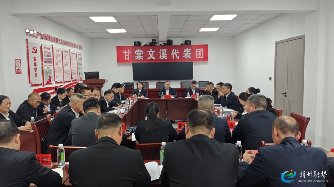 【两会进行时】人大代表分组讨论 建言献策启新程
