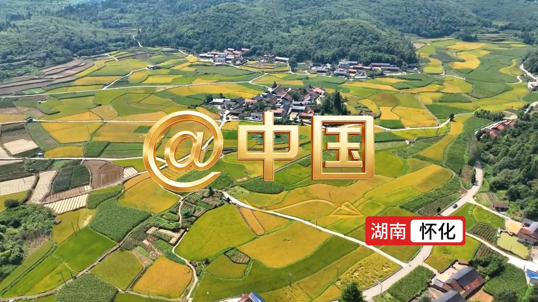 @中国｜绿水青山美，道地药材好