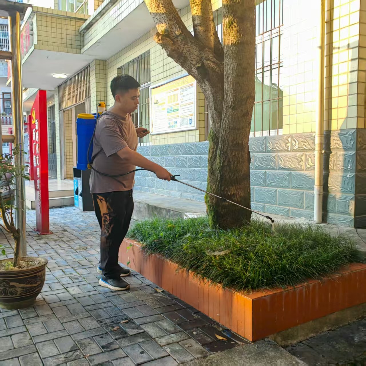 新厂镇开展爱国卫生运动 营造卫生健康环境