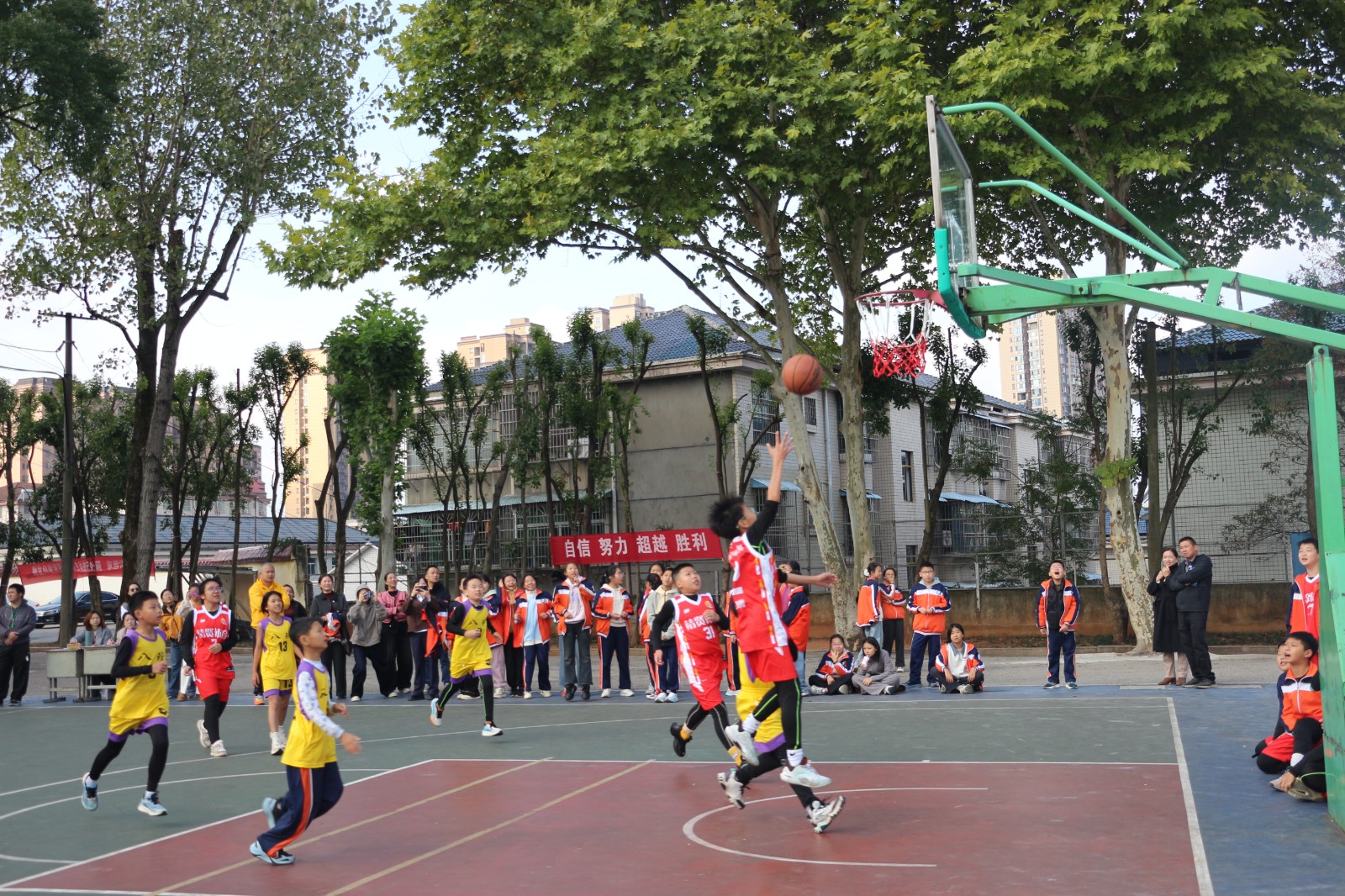 乐群小学：第八届“梦想杯”篮球赛火热开赛