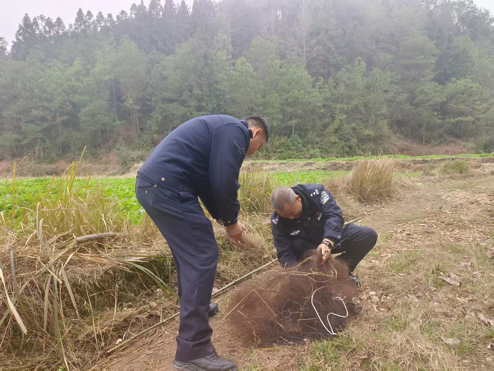 【整治非法捕捞行为专项行动】靖州：联动清顽网 护鸟守青山
