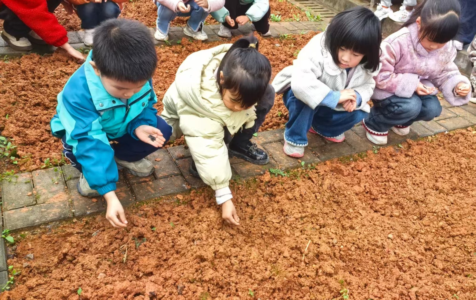 县二幼：播撒希望种子 共绘成长花海
