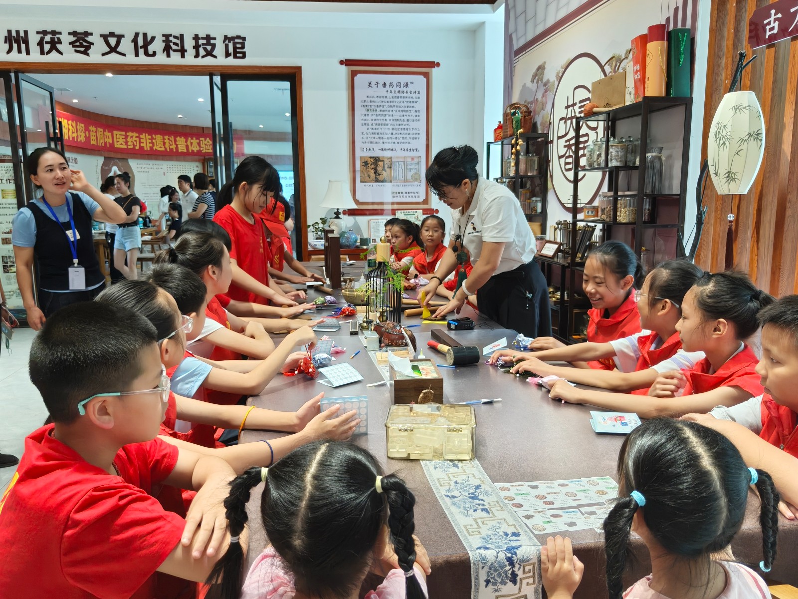 靖州茯苓文化科技馆迎来暑期首批“少年神农”
