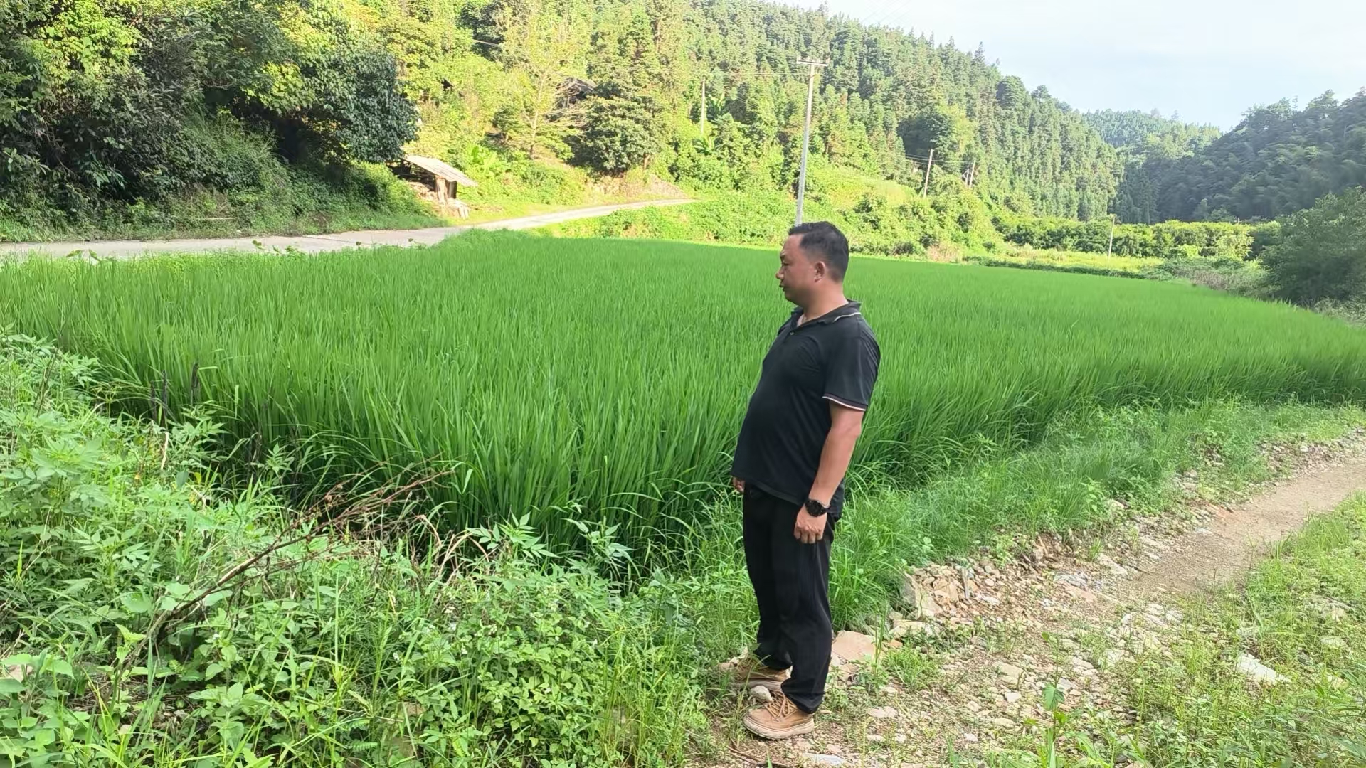 大堡子镇：逐块核实抛荒图斑  坚决守牢耕地红线